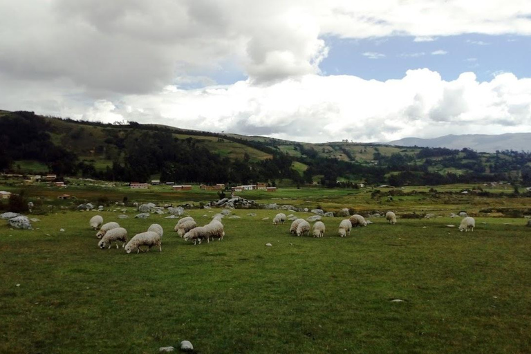 Huaraz: Full Day Honcopampa + Chancos Aguas Termales