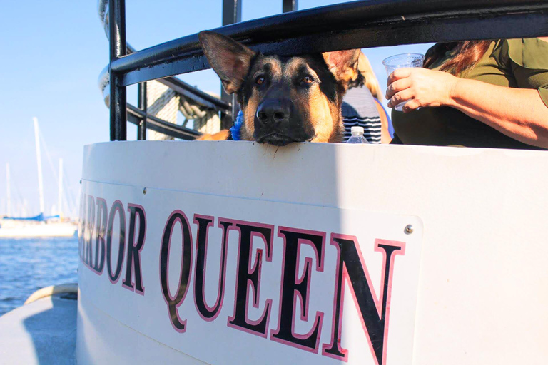 Annapolis: Annapolis Harbor and U.S. Naval Academy Cruise