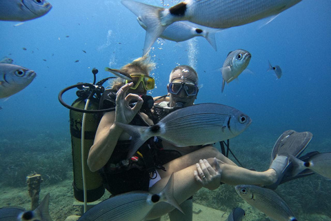 Lado: Buceo y Museo Subacuático con traslado al hotel