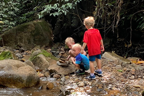 Chiang Rai Trek: 4 Hilltribes Villages & Waterfall Only Walk