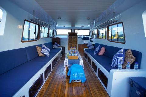 Labuan Bajo: Komodo Islands Speedboat Tour