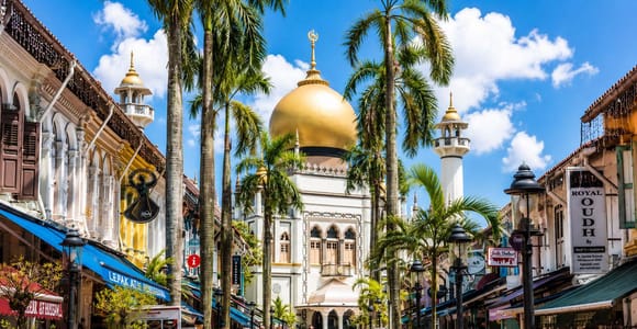 Singapore: Private Customizable Singapore Tour