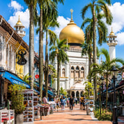 Singapore: Private Customizable Singapore Tour