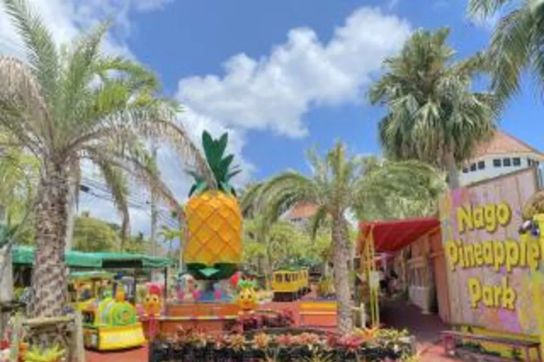 Nago Pineapple Park : Admission with Pineapple Car
