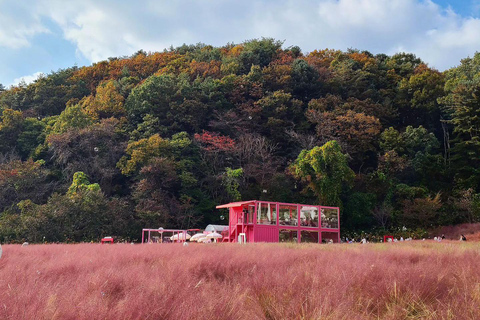 Z Seulu: Pocheon, jezioro Sanjung i jesienna wycieczka do BidulginangOdjazd ze stacji Dongdaemun H&amp;C Park, wyjście 10