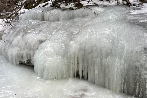 Grotto Canyon Ice Walk with Indigenous Pictographs Calgary pick up