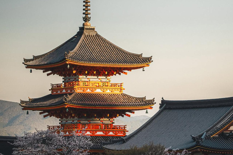 Kyoto: Private Customizable Day Tour with Guide and Vehicle