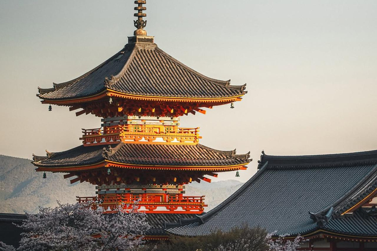 Kyoto: Private Customizable Day Tour with Guide and Vehicle