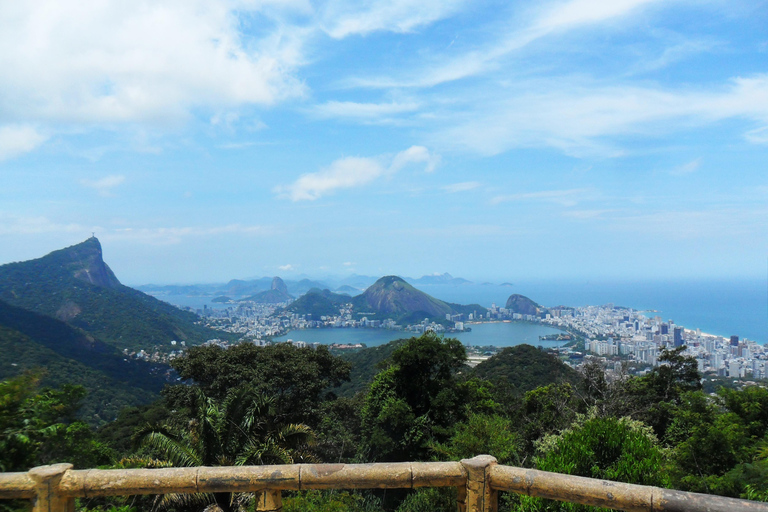 Rio de Janeiro: Pico da Tijuca Hiking Tour