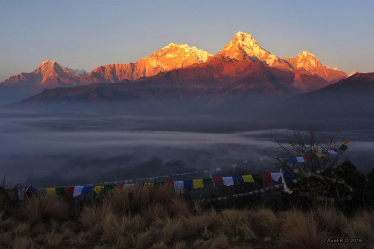 Discover Ghandruk &amp; PoonHill Circuit 3-Day Trek from PokharaVisite privée avec repas inclus