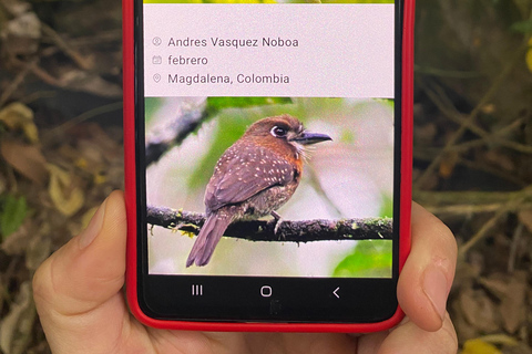 Medellín: Birdwatching on Cerro Tusa Ancient Pyramid Trails