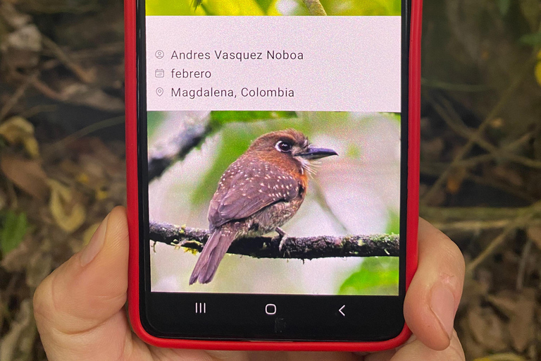 Medellín: Birdwatching on Cerro Tusa Ancient Pyramid Trails