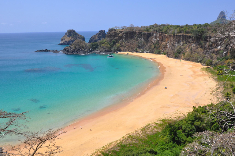 Discover Noronha: 7-Hour Ilhatour Adventure