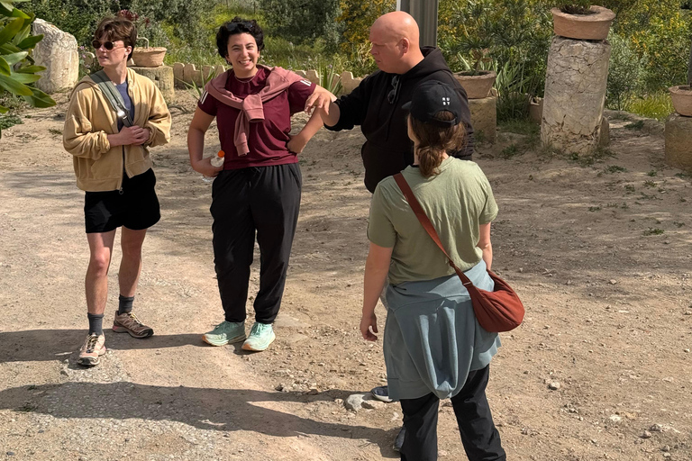 Tunis: Uthina, Zaghouan, and Zriba El Alia Day Trip