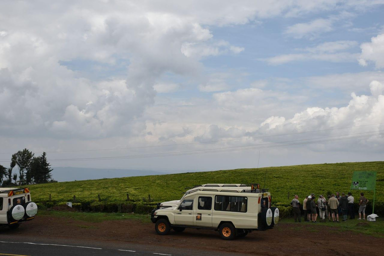 Tsavo Amboseli & Tsavo Expedition Safari Tour