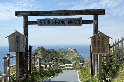 Sapporo: Shakotan Blue Coast and Otaru Canal Private Tour