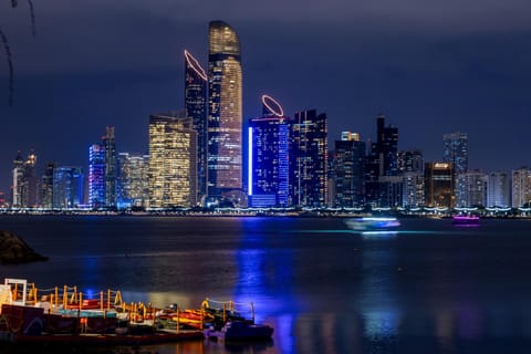 Abu Dhabi: Private 4-Hour Layover City Tour