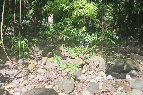 St Kitts: Panaramic Rainforests and Beach Excursions