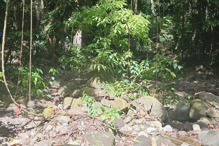 St Kitts: Panaramic Rainforests and Beach Excursions
