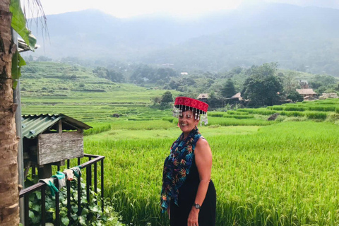 Hanoi: 3-Day Pu Luong, Ninh Binh Excursion & Guide, Homestay