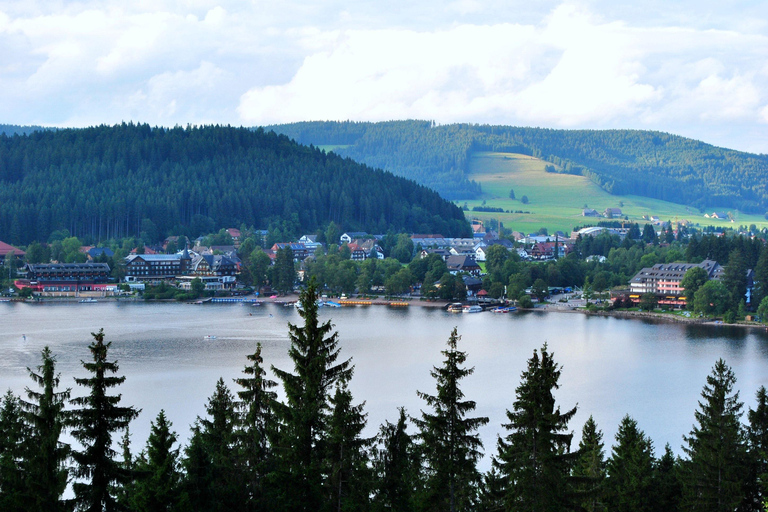 Visite d&#039;une jounée de Zurich au lac Titisee Forêt-Noire