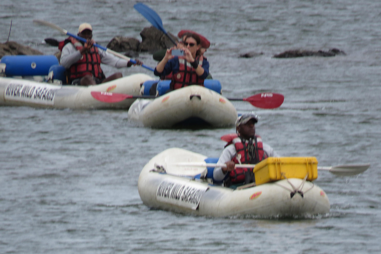 Victoria Falls: Canoeing - Upper Zambezi (Day Trail)