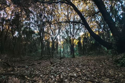 Corfu: Guided Hiking Tour of Arkoudilas Beach and Forests