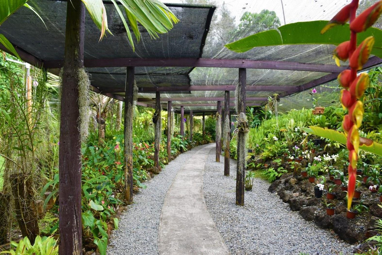 Fidżi: Odkryj Nadi dzięki wycieczce do gorących źródeł Sabeto i basenu błotnegoOdbiór z Fiji Marriott/Queens Wharf Lautoka/Tanoa Waterfront