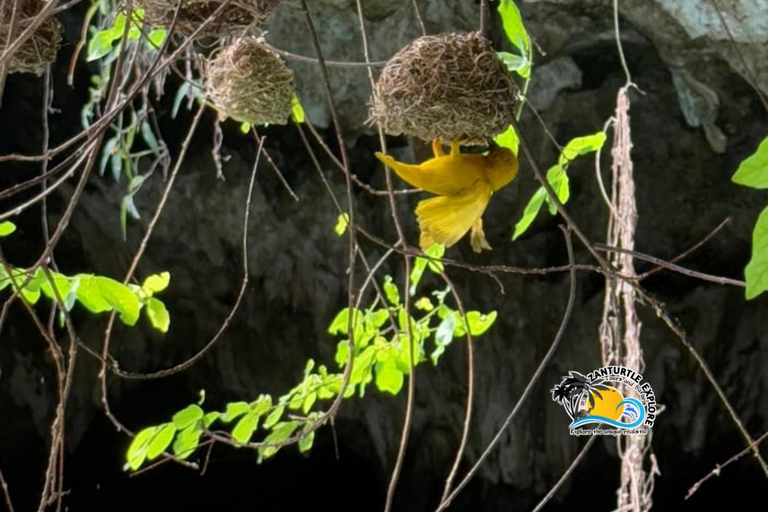 Swim with Turtles at The Lagoons Zanzibar & Stone Town Tour Transfer Not Included: Meeting Point at Stone town Only