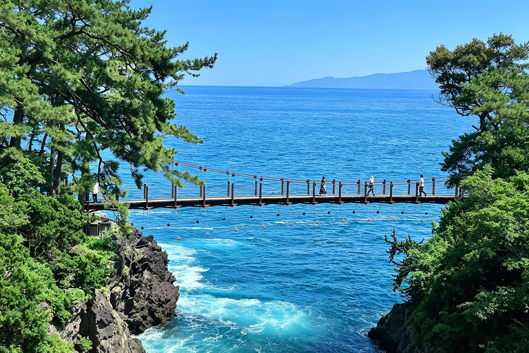 Small Group Day Tour:Omuro Mountain & the Izu Scenic Railway Hotel Transfer Option