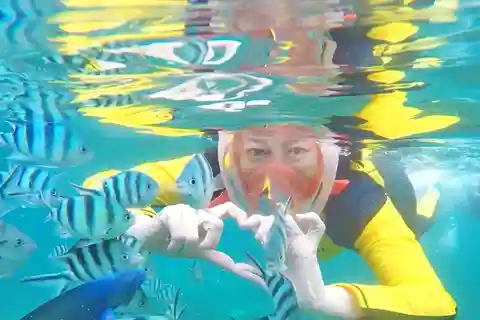Dagsudflugt med snorkling på Koh Tao & Koh Nang Yuan