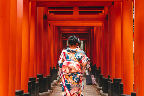 Japan Wonders: A 10-Day Adventure Japan Wonders