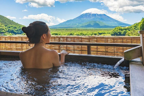 Tokyo: Mount Fuji Must See Private Tour Adjustable Itinerary