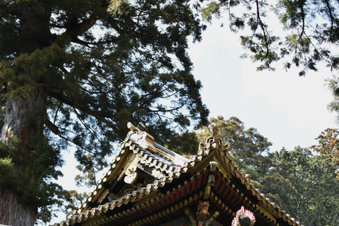 De Tóquio: Viagem privada de 1 dia a Nikko, Patrimônio Mundial