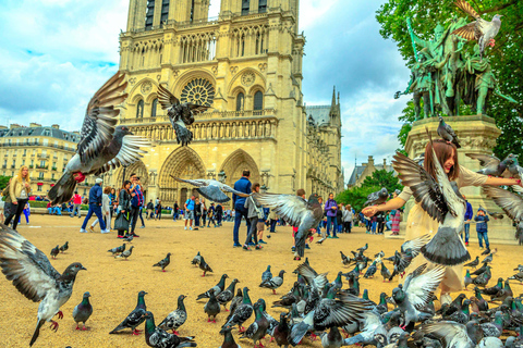 Paris: Notre-Dame Audio Guide + Archaeological Crypt Option Paris: Archaeological Crypt Ticket + Notre-Dame Audio Tour