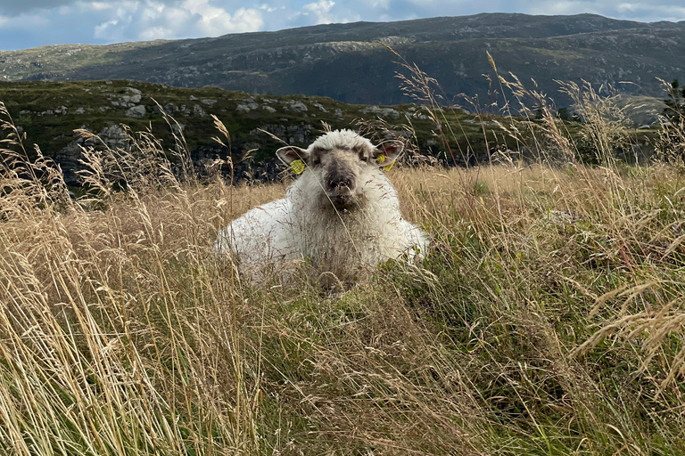 Wandelen en vrienden!!!