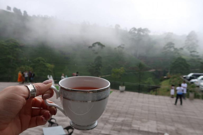 Nuwara Eliya to Kandy: Transfer with Waterfall & Tea Tour