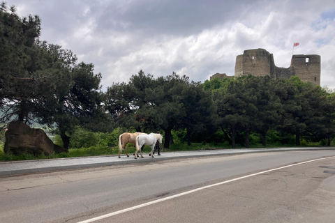From Tbilisi: Mtskheta Walking Tour along the Aragvi River