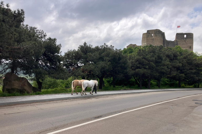 From Tbilisi: Mtskheta Walking Tour along the Aragvi River