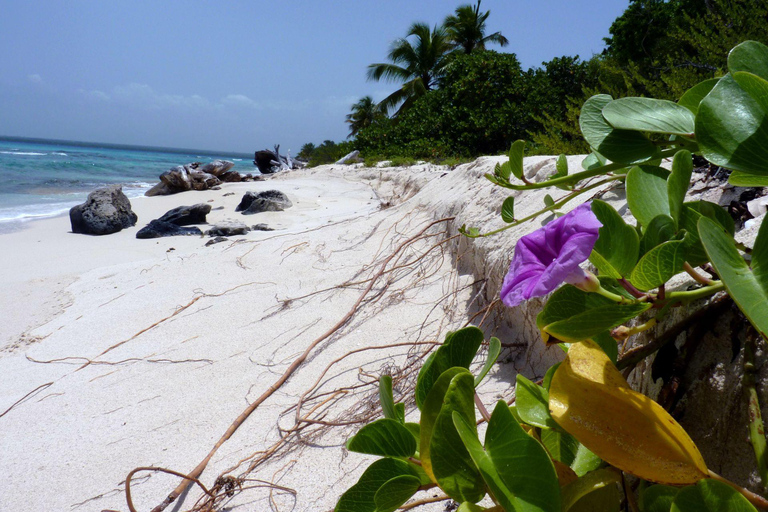 Punta Cana: Catalina Island Katamaran, Mittagessen und Schnorcheln