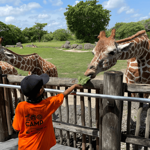 Miami: Zoo Miami Admission Ticket