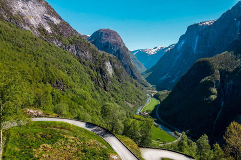 Bergen: Guided tour to Njardarheimr Viking Village Departure from Jekteviken Cruise Port, Bergen