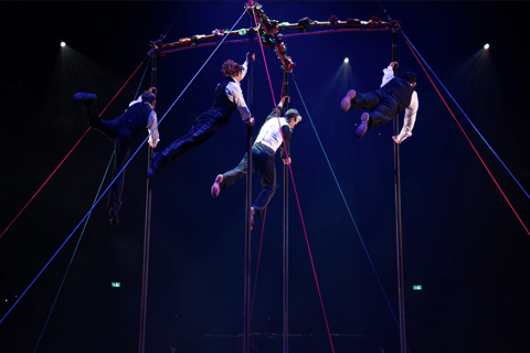 Cirque du Soleil LUDÕ — Vallarta Premium Balcony Experience: Show, Champagne, and Canapés