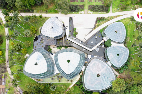 Explore the Magic of the Botanical Garden - Bogotá