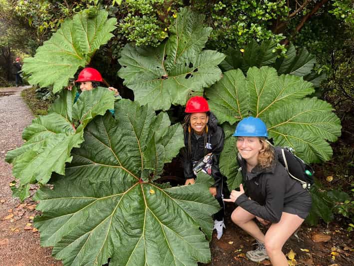 Volcan Poas: Volcan Poas National Park Flora & Fauna Tour