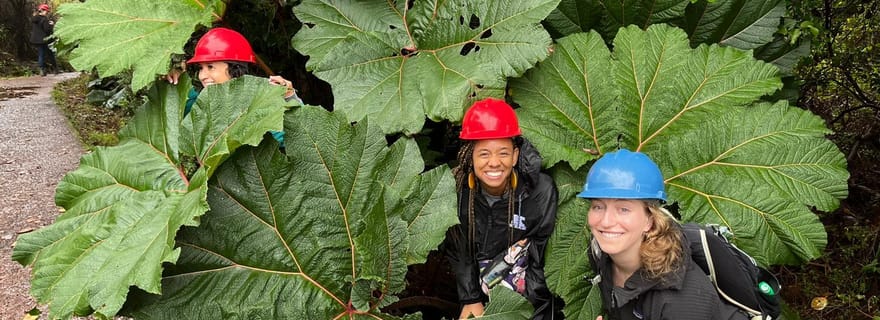 Volcan Poas : Visite de la flore et de la faune du parc national du volcan Poas