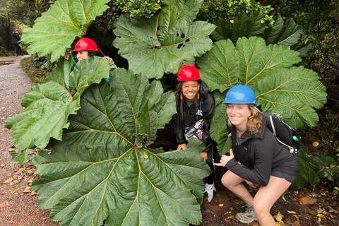 Volcan Poas: Volcan Poas National Park Flora & Fauna Tour