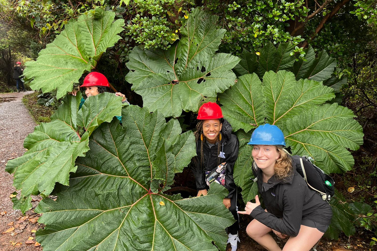 Volcan Poas: Volcan Poas National Park Flora & Fauna Tour