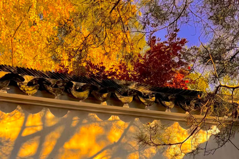 Suzhou: Lion Forest Garden Ticket and Photos