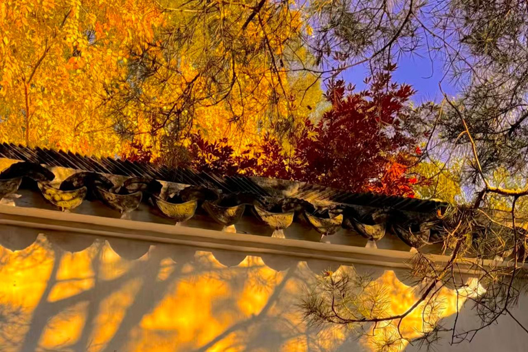 Suzhou: Lion Forest Garden Ticket and Photos